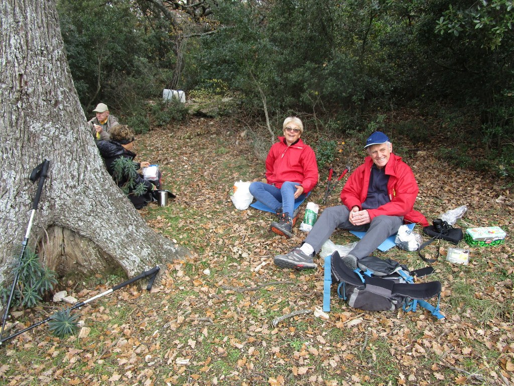 Pichauris-Plateau de l'Aroumi-Jeudi 5 décembre 2019 KSAaUm