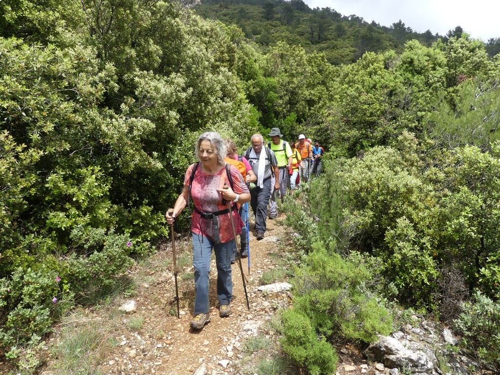 Cuges-Les 3 Jas-Jeudi 31 mai 2018 MAMi3O