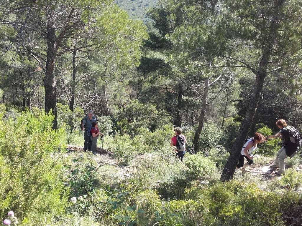 Septêmes les vallons - Jeudi matin 14 juin 2018 MhP4Hg