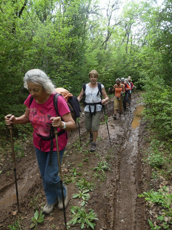 St Saturnin-lès-Apt-Baume Roustan-Jeudi 10 mai 2018 NDBJdO