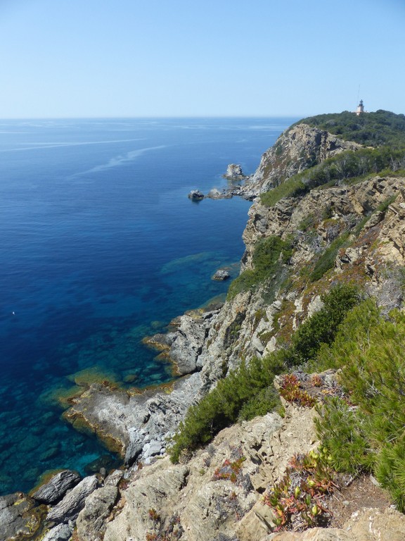 Porquerolles-Du Mont de Tièlo à la Galère-Jeudi 23 juin 2016 O5sADb