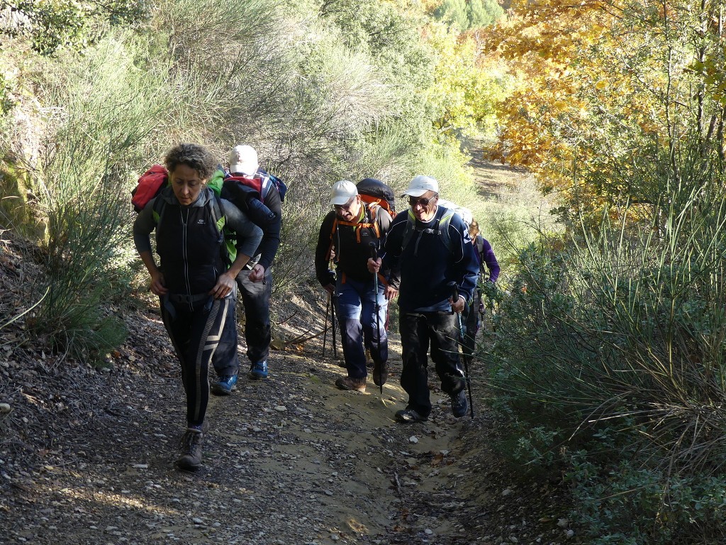 Cabrières-Crêtes du Grand Lubéron-Jeudi 28 novembre 2019 PKwXnx