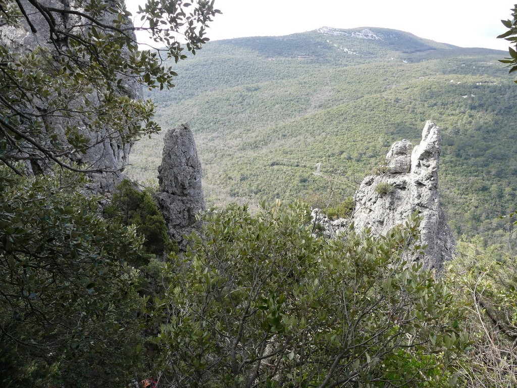 Méounes-Montrieux-Le Grand Puy-Jeudi 15 mars 2018 PnFX31