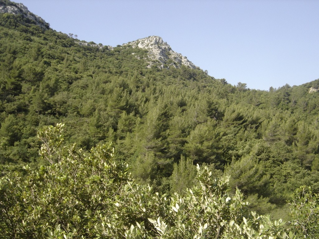 Pourcieux - Jeudi matin 21 juin 2018 QaqdIU