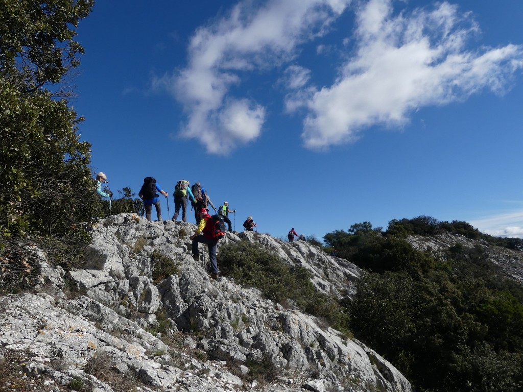 Rians-Montagne d'Artigues-Jeudi 7 mars 2019 R66uId