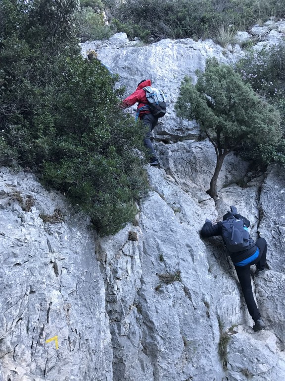 Marseilleveyre- Plateau de l'Homme Mort-Escu-Jeudi 9 décembre 2021 RG9gQK