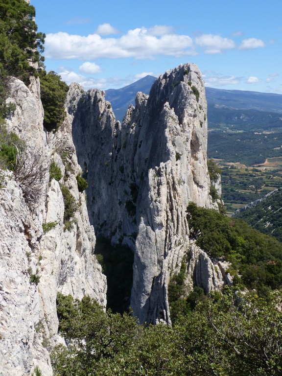 Lafare-Les Dentelles de Montmirail-Jeudi 13 mai 2021 Szl0YE