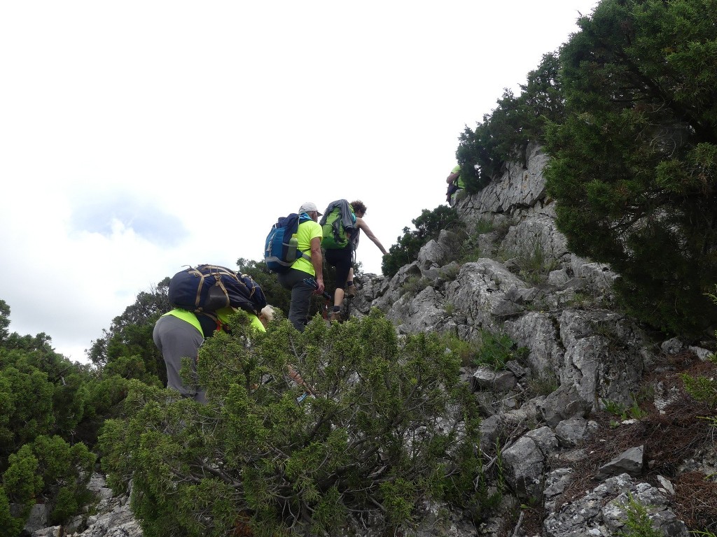 Oppède-Forêt des Cèdres-Jeudi 7 juin 2018 TC2Qpd