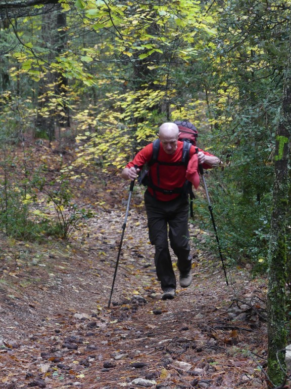 Les Jas du Ventoux sud-Jeudi 8 novembre 2018 TNVmR4