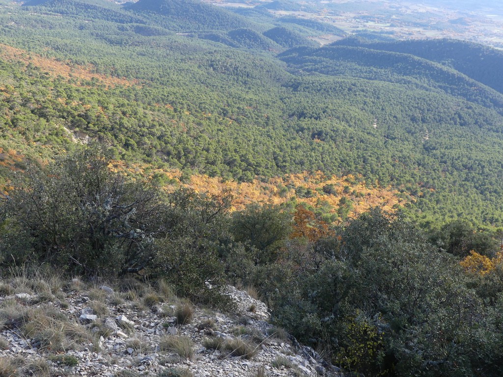 Cabrières-Crêtes du Grand Lubéron-Jeudi 28 novembre 2019 TXAGxM