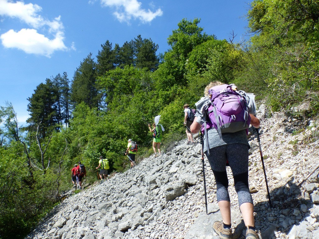 Lame de Facibelle-La Colle-Jeudi 25 mai 2017 URB9Bv