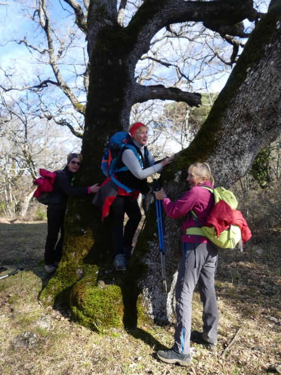 Sources de l'Huveaune-Rocs du Cayre-Jeudi 7 février 2019 UYtxx9