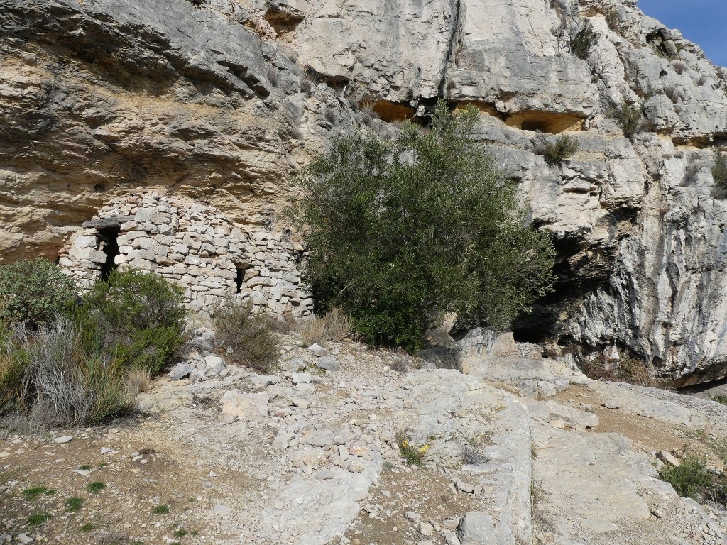 Masif du Garlaban-Tête Rouge-Taoumé-Jeudi 11 janvier 2018 Ui2dnX