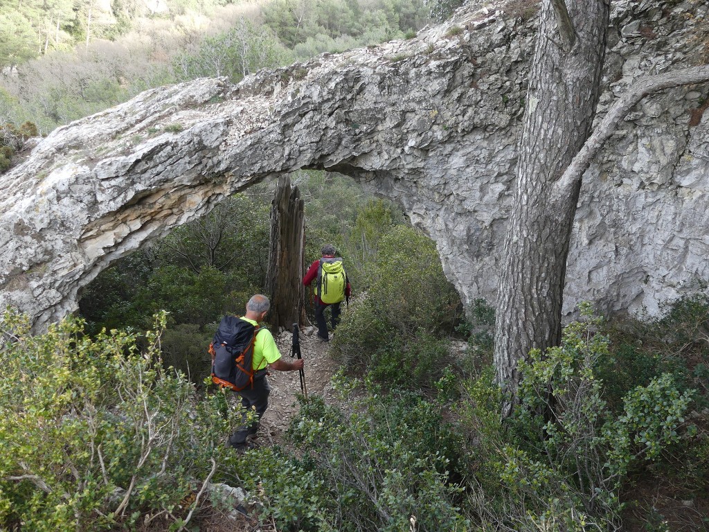 St Rémy-Plateau de la Caume-Mont Gaussier-Jeudi 14 mars 2019 UjaUI6