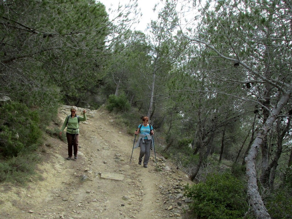 Martigues - Parc de Figuerolles - Jeudi 29 mars 2018 V9msvi