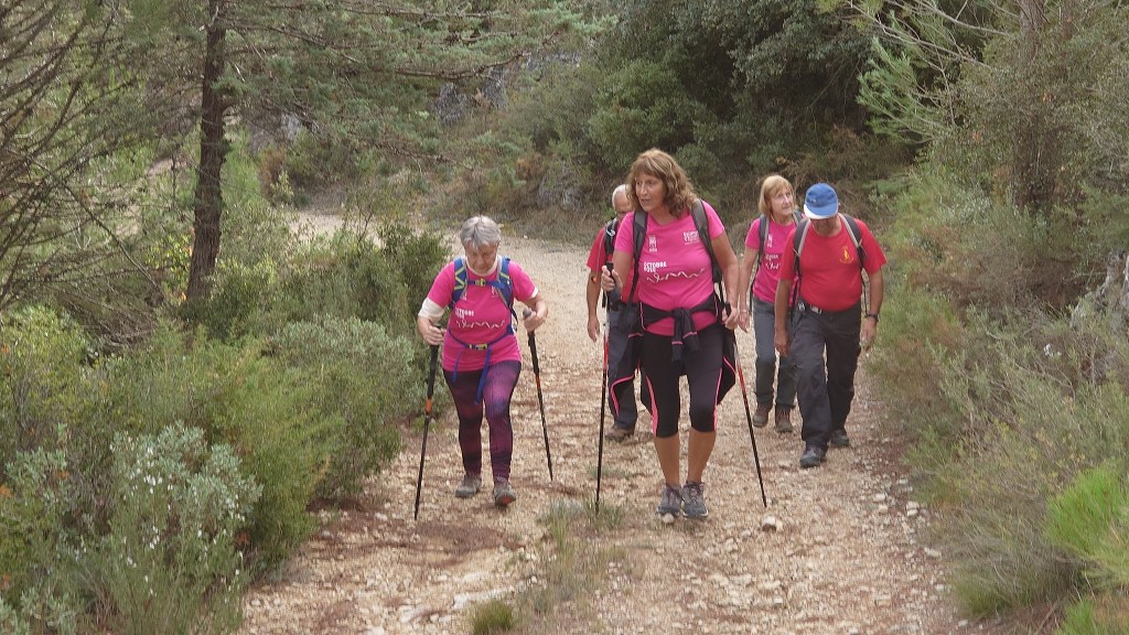 Marche octobre rose-Dimanche 9 octobre 2022 VCnMkf