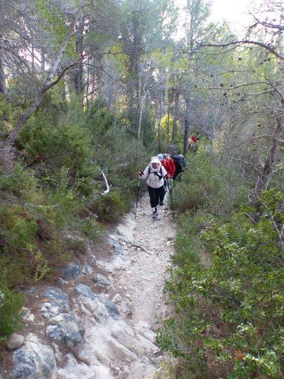 Lubéron-Vallon du Roumiguier, gorges de Régalon-Jeudi 10 mars 2022 VY5xh2