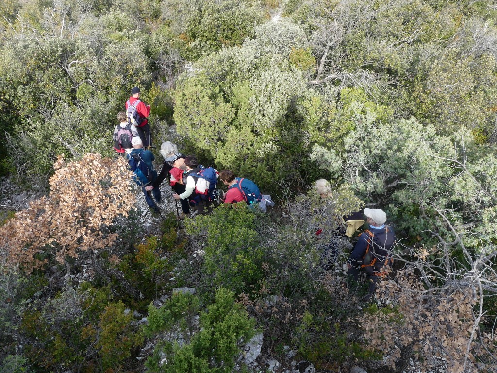 St Saturnin lès Apt-Baume RoustanJeudi 6 février 2020 YDEYD0