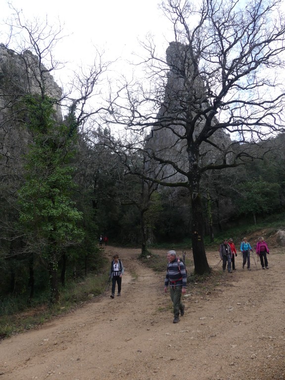 Belgentier-Aiguilles de Valbelle-Montrieux-Jeudi 20 décembre 2018 ZR1hbU