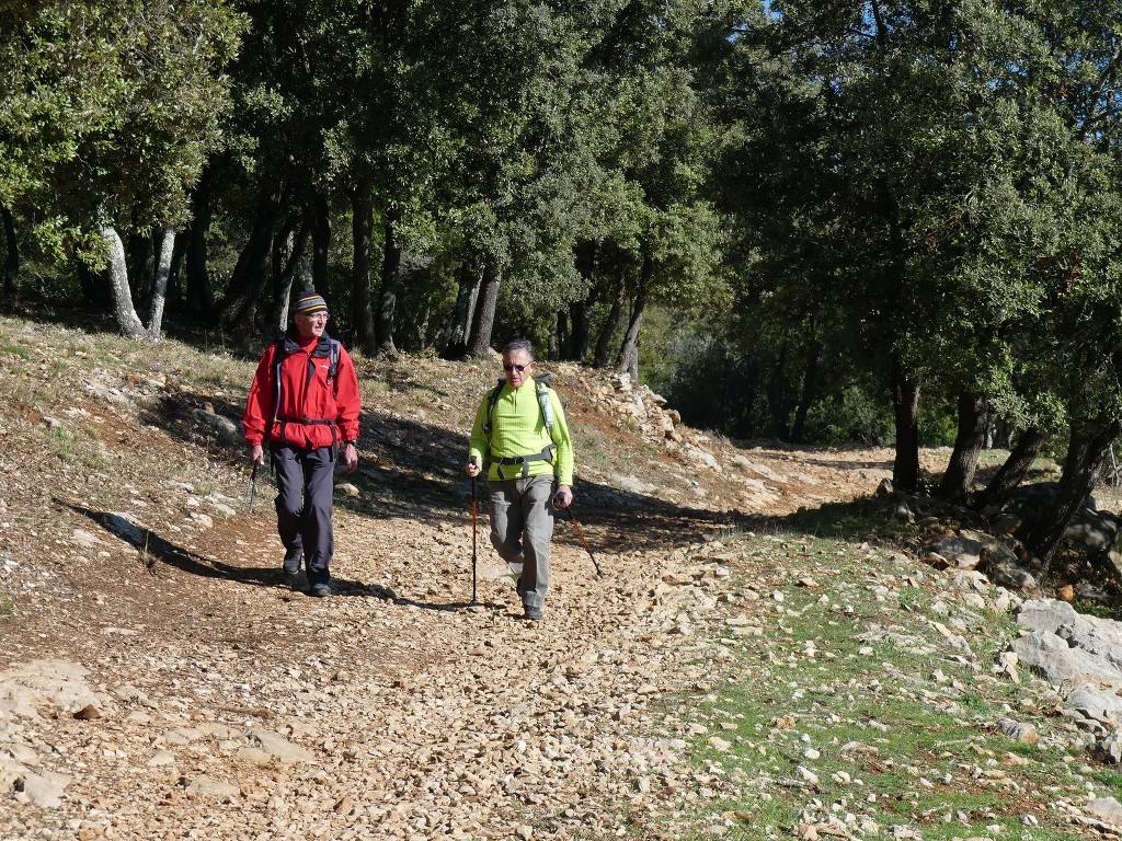 Cabasse-Trou aux Fées-Dolmen de la Gastée-Jeudi 8 février 2018 ZXEGbS