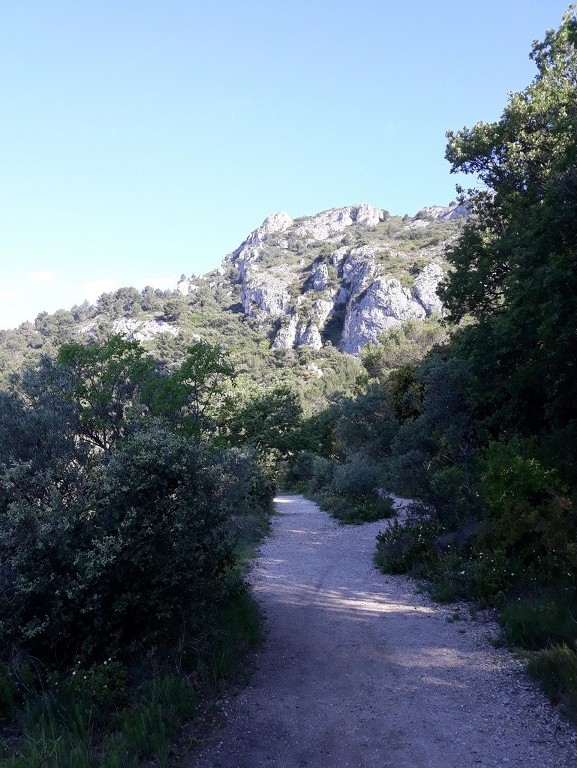 Mérindol- Gorges de Régalon - Samedi 5 mai 2018 C7Dkuh