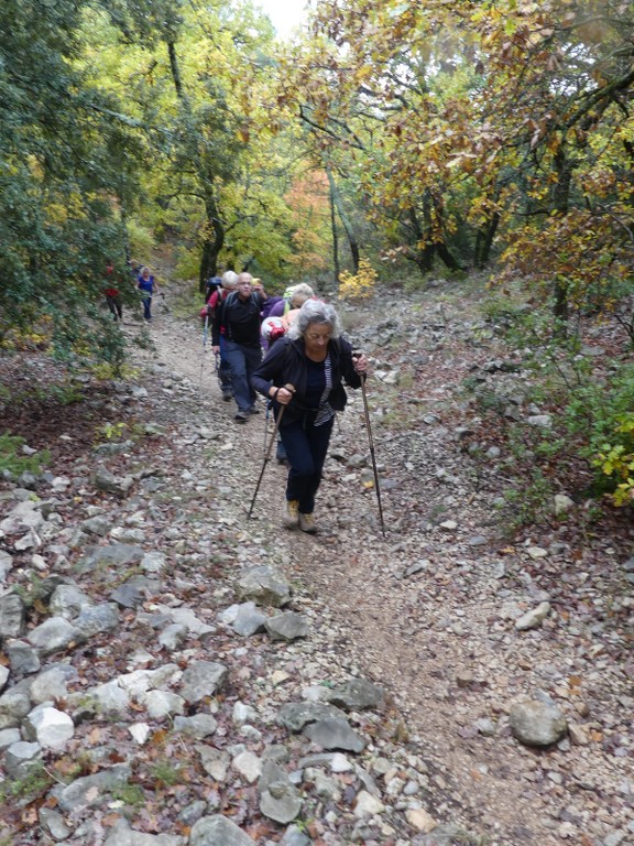 Les Jas du Ventoux sud-Jeudi 8 novembre 2018 Cysr6k