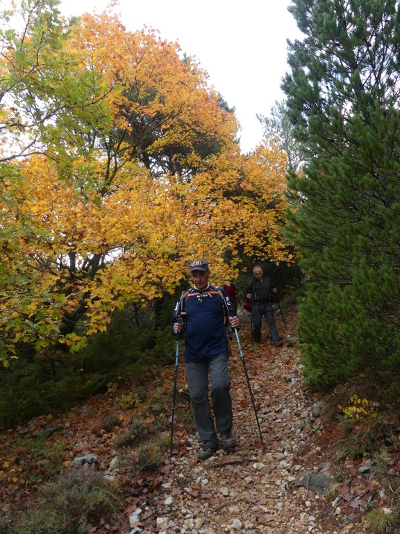 Les Jas du Ventoux sud-Jeudi 8 novembre 2018 D5OIVF