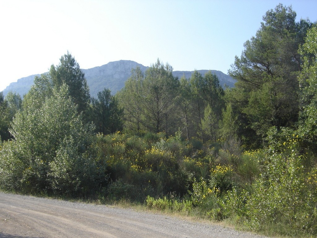 Pourcieux - Jeudi matin 21 juin 2018 DgvPIT