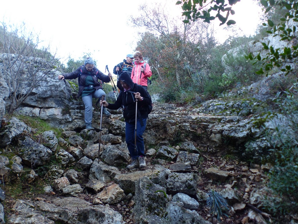 Pichauris-Plateau de l'Aroumi-Jeudi 2 décembre 2021 Do4X8W