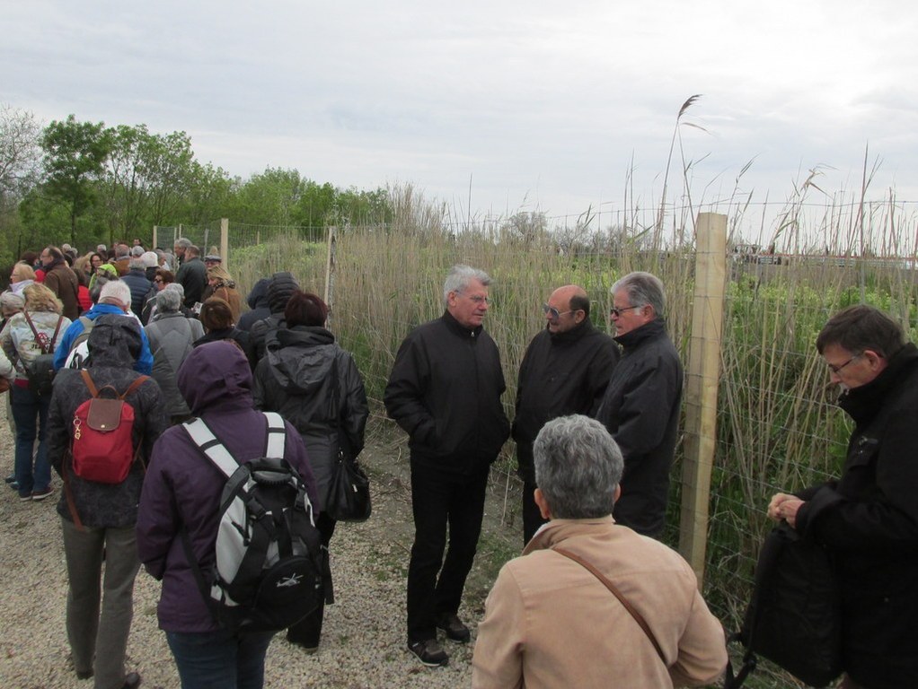 Aigues Mortes -  Suite - Samedi 14 avril 2018 Ej5gGi