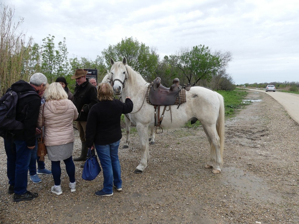 Aigues Mortes-Samedi 14 avril 2018 FKzMh3