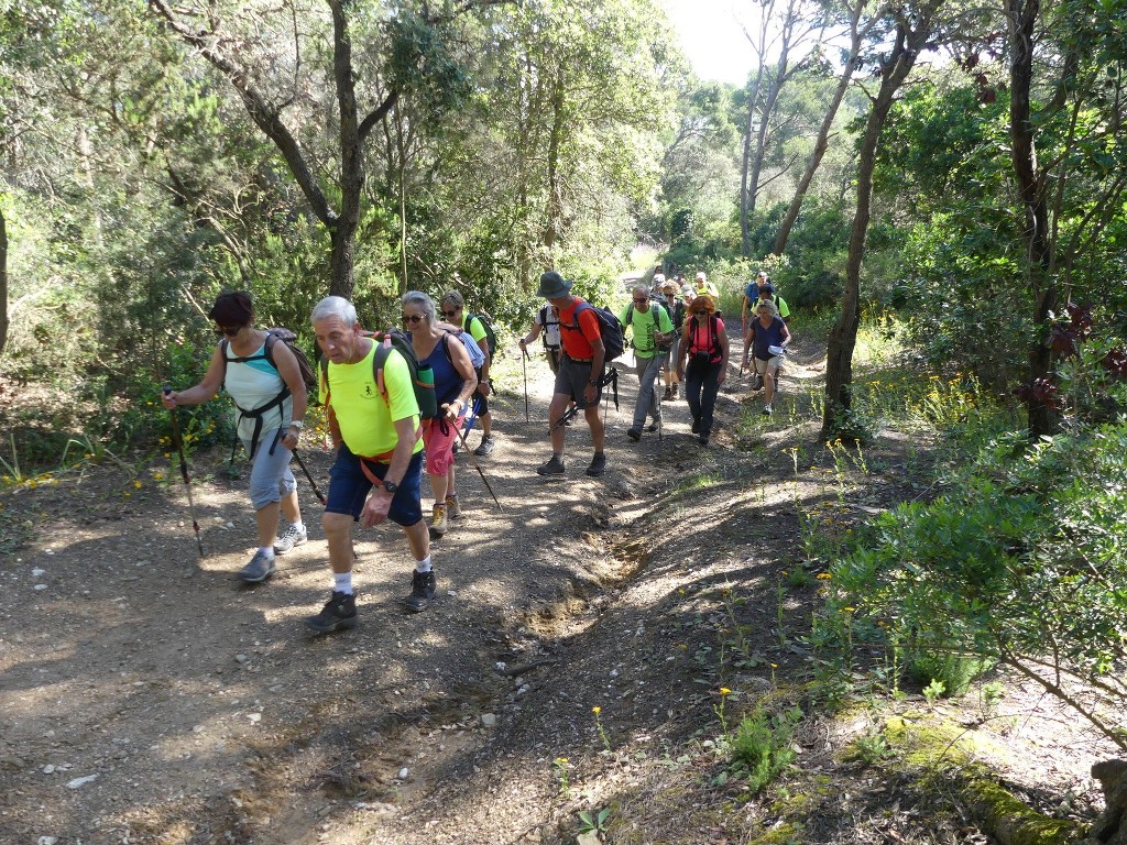 Porquerolles-Jeudi 14 juin 2018 GGiCcN