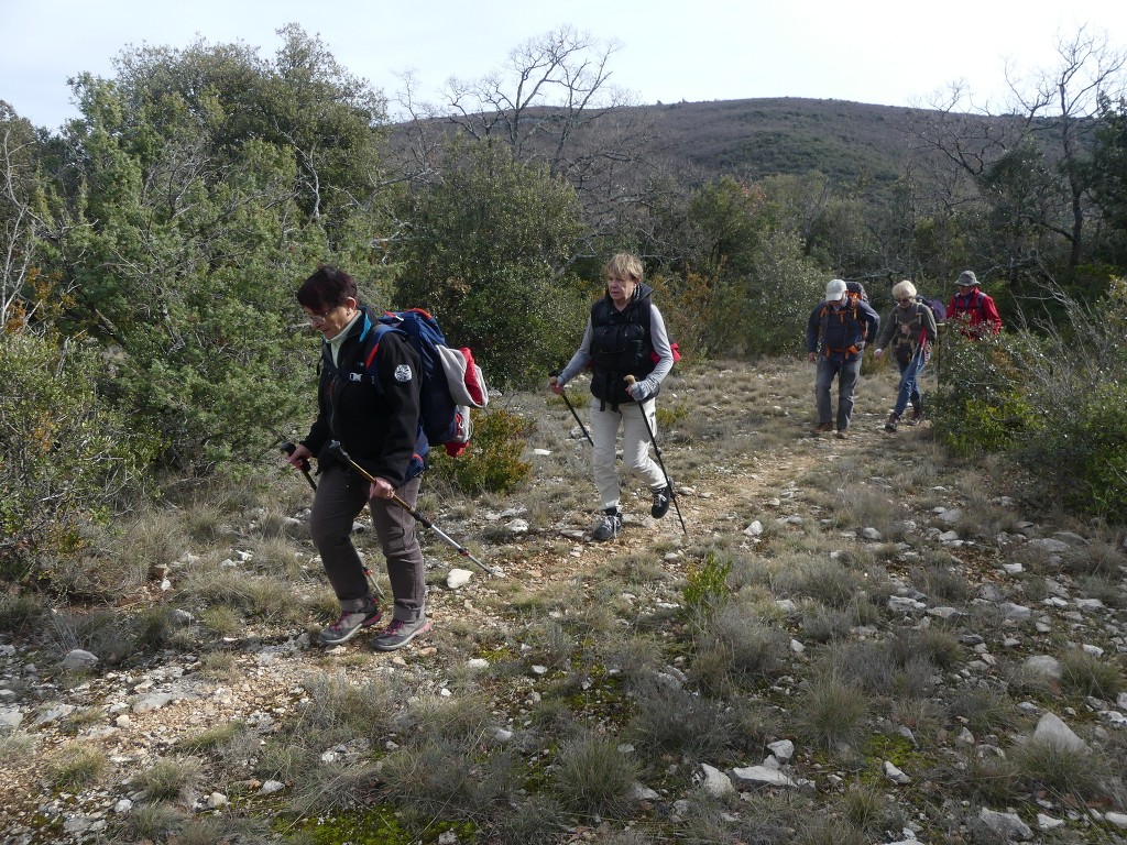 St Saturnin lès Apt-Baume RoustanJeudi 6 février 2020 GMQEKl