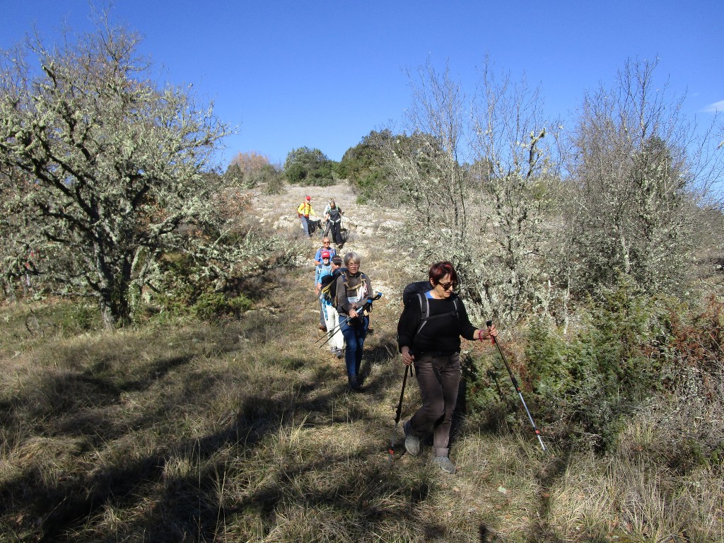 Rians-Montagne d'Artigues-Jeudi 7 mars 2019 GwFfHr