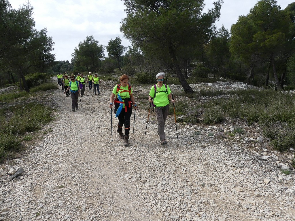 Rando Jaune 4 clubs à Ceyeste- Samedi 7 avril 2018 HBC74x