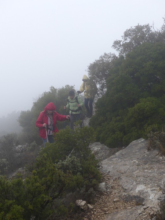 Mont Aurélien-Jeudi 25 janvier 2018 IEhLOS