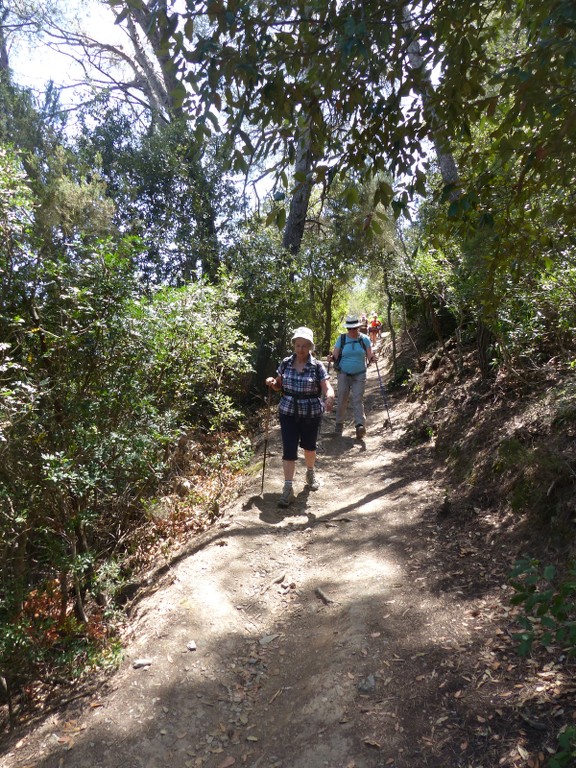 Porquerolles-Du Mont de Tièlo à la Galère-Jeudi 23 juin 2016 J9MY3e