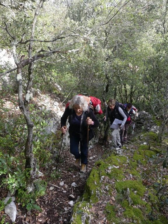 St Saturnin lès Apt-Baume RoustanJeudi 6 février 2020 JcAfIP