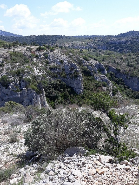 Mérindol- Gorges de Régalon - Samedi 5 mai 2018 JsAocR