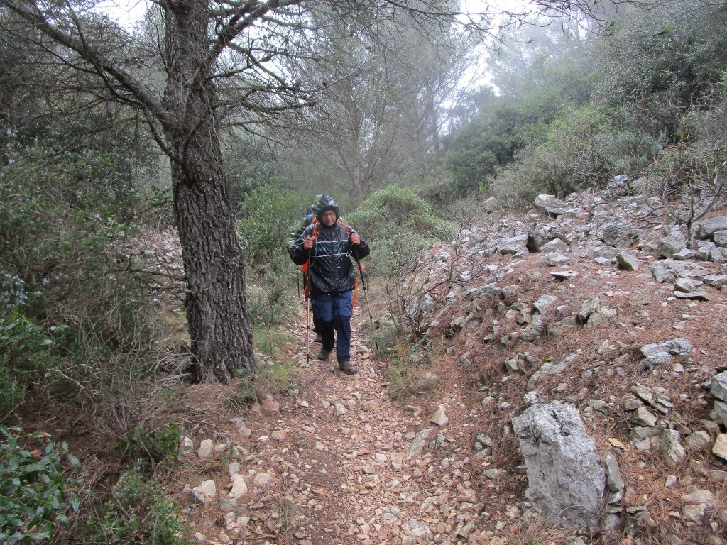 Ceyreste-Le Montounier-Jeudi 27 février 2020 K0ubz9