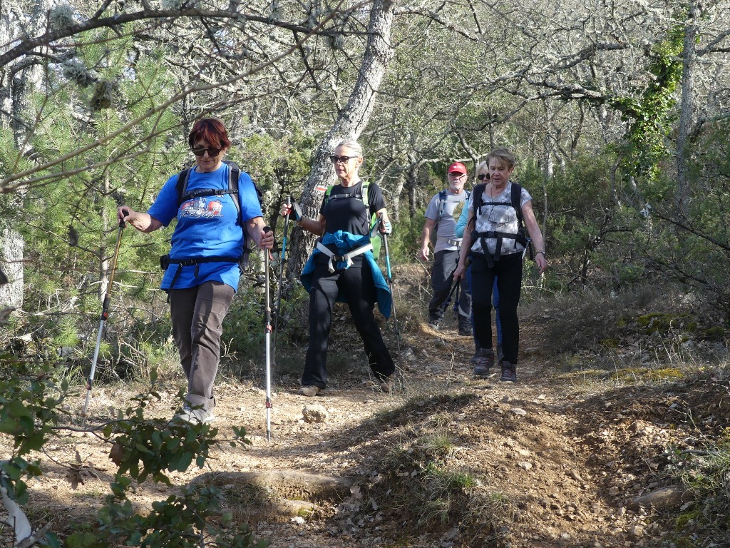 Rians-Montagne d'Artigues-Jeudi 7 mars 2019 KMiRHF