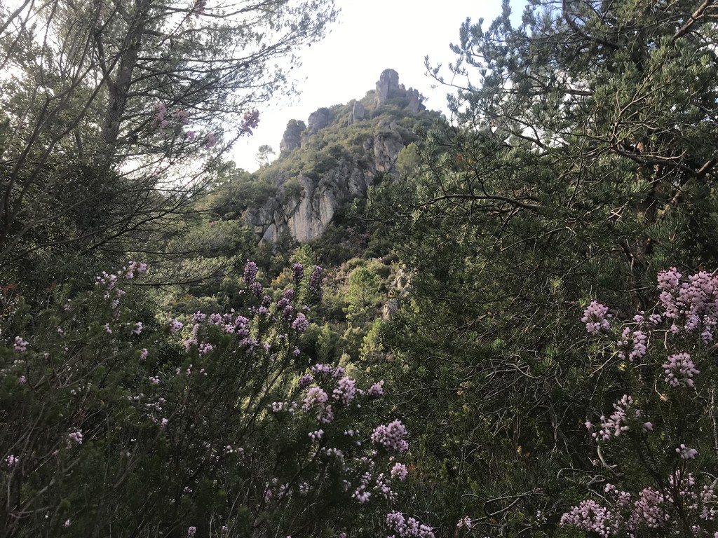 La Celle-Sommet de l'Amarron-Jeudi 28 octobre 2021 MsdECK