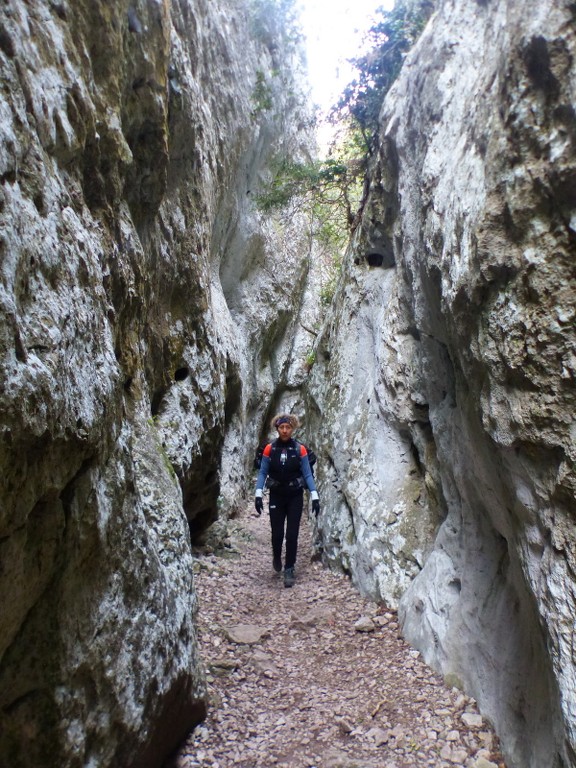 Lubéron-Vallon du Roumiguier, gorges de Régalon-Jeudi 10 mars 2022 Mu6Cor