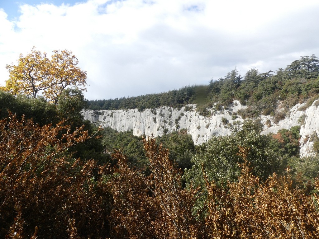 Lubéron-Vallon de l'Arc-Arche du Portalas-Jeudi 9 novembre 2017 MuzbX5