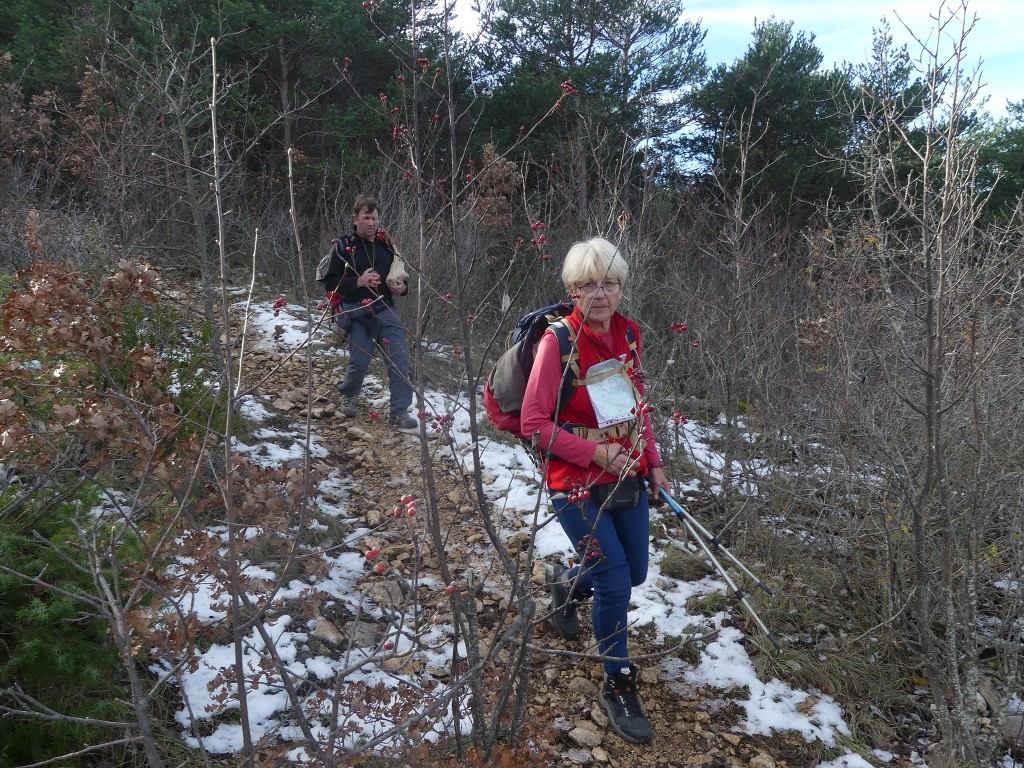 St Saturnin lès Apt-Les Aiguiers-Jeudi 29 novembre 2018 N5kxcQ