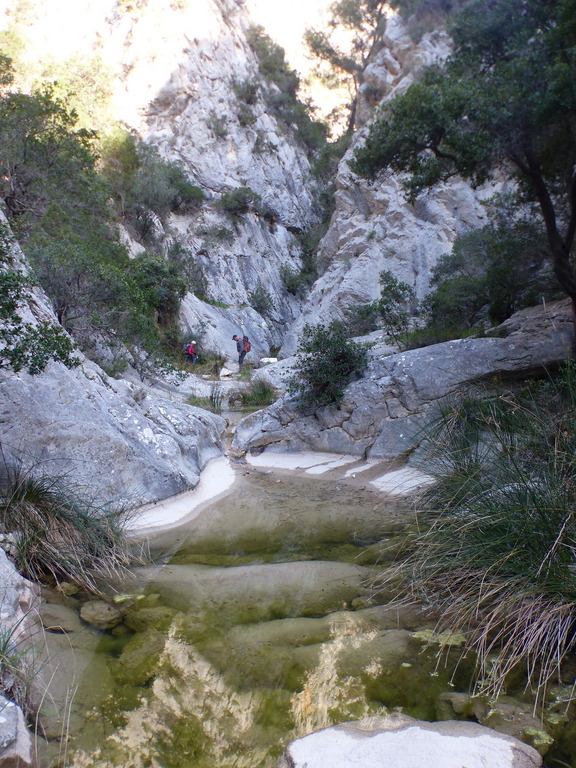 Ollioules-Les Cuves du Destel-Jeudi 25 mars 2021 QTPurG