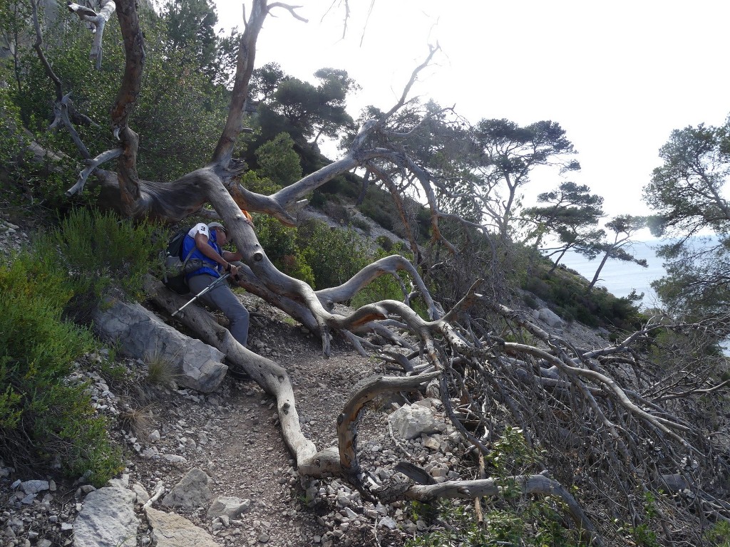 Mont Puget par l'Œil de Verre-Jeudi 3 mai 2018 QyNJyN