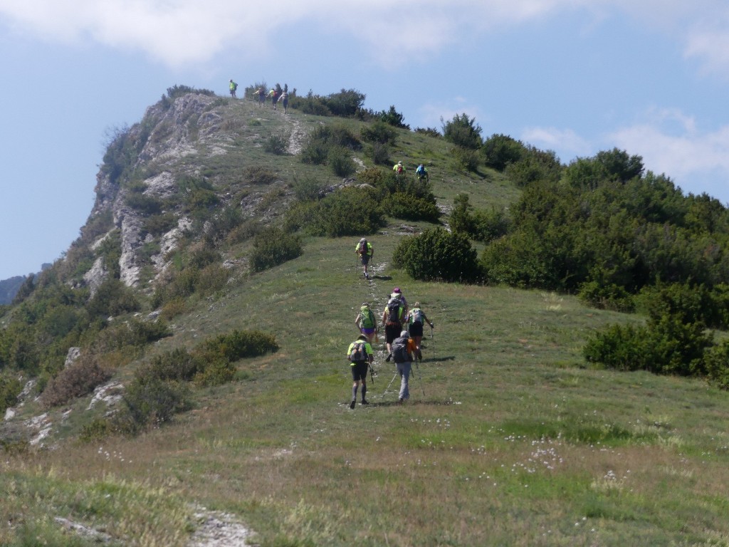 Pic St Cyr-Gorges de la Méouge-Jeudi 21 juin 2018 RTOUXM