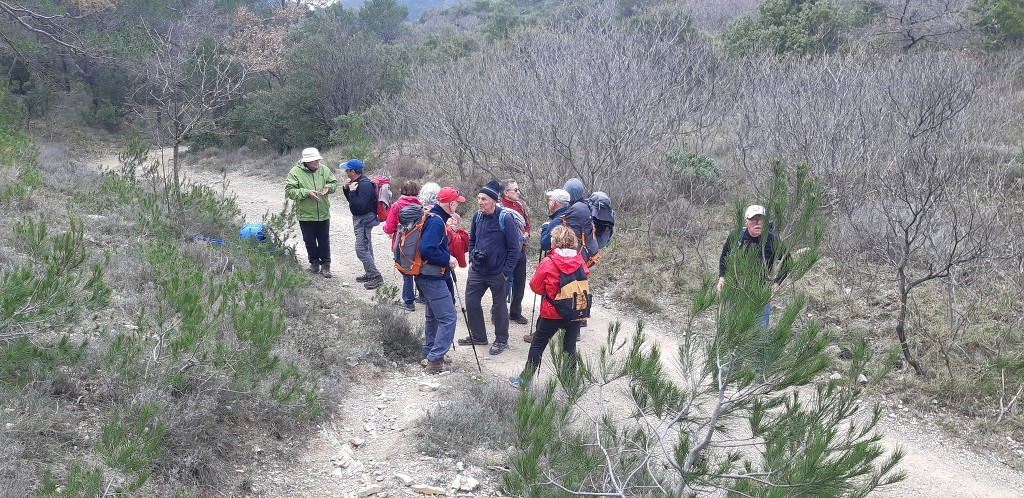 Mont Aurélien-Jeudi 13 février 2020 RjfRj0