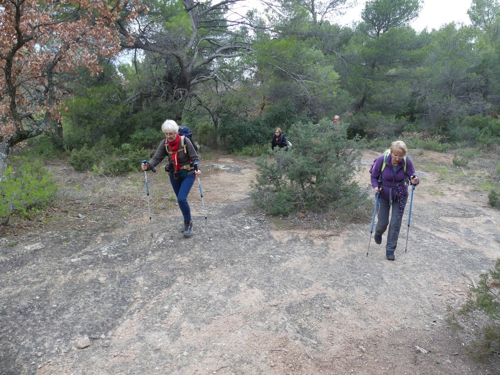 Mont Aurélien-Jeudi 25 janvier 2018 S4mQR1